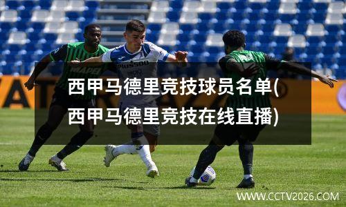 西甲马德里竞技球员名单(西甲马德里竞技在线直播)