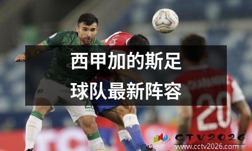 西甲加的斯足球队最新阵容
