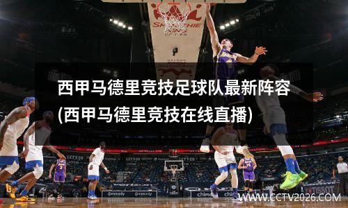 西甲马德里竞技足球队最新阵容(西甲马德里竞技在线直播)