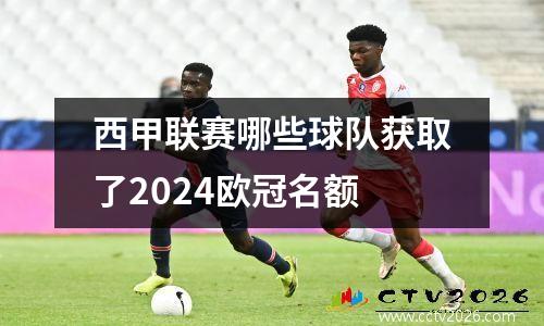 西甲联赛哪些球队获取了2024欧冠名额