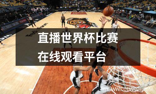 直播世界杯比赛在线观看平台