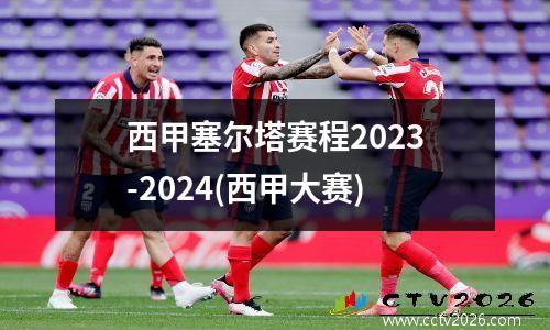 西甲塞尔塔赛程2023-2024(西甲大赛)