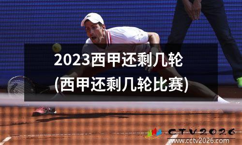 2023西甲还剩几轮(西甲还剩几轮比赛)