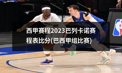 西甲赛程2023巴列卡诺赛程表比分(巴西甲组比赛)