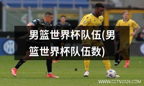 男篮世界杯队伍(男篮世界杯队伍数)