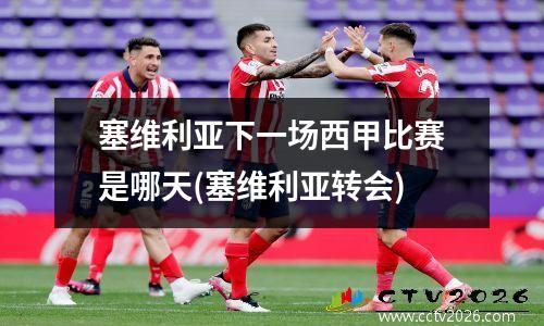 塞维利亚下一场西甲比赛是哪天(塞维利亚转会)