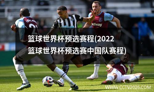 篮球世界杯预选赛程(2022篮球世界杯预选赛中国队赛程)