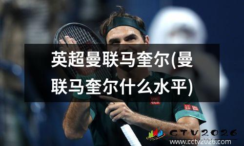 英超曼联马奎尔(曼联马奎尔什么水平)