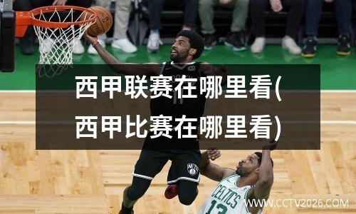 西甲联赛在哪里看(西甲比赛在哪里看)