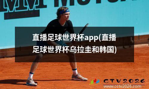 直播足球世界杯app(直播足球世界杯乌拉圭和韩国)