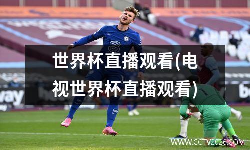 世界杯直播观看(电视世界杯直播观看)