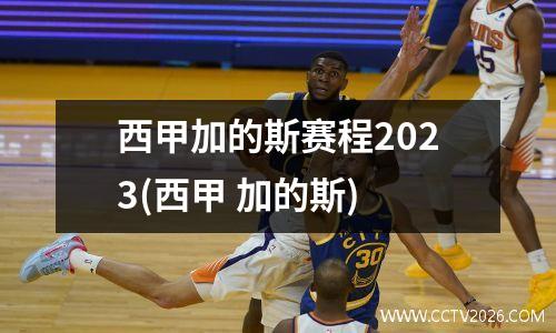 西甲加的斯赛程2023(西甲 加的斯)