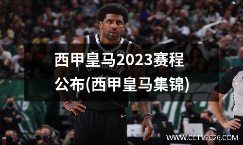 西甲皇马2023赛程公布(西甲皇马集锦)