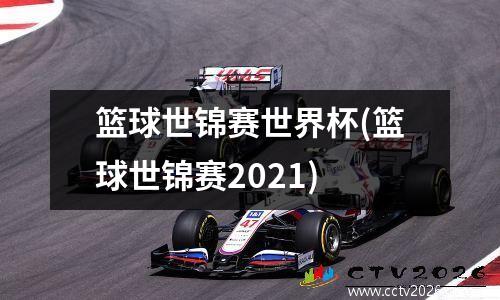 篮球世锦赛世界杯(篮球世锦赛2021)