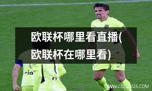 欧联杯哪里看直播(欧联杯在哪里看)