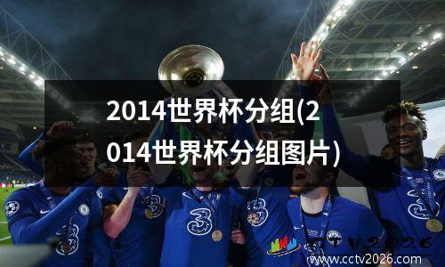 2014世界杯分组(2014世界杯分组图片)