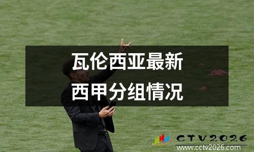 瓦伦西亚最新西甲分组情况