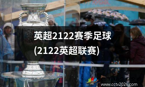英超2122赛季足球(2122英超联赛)