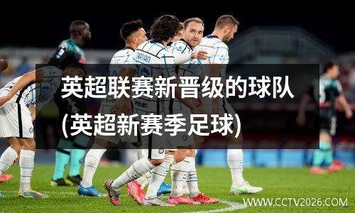 英超联赛新晋级的球队(英超新赛季足球)