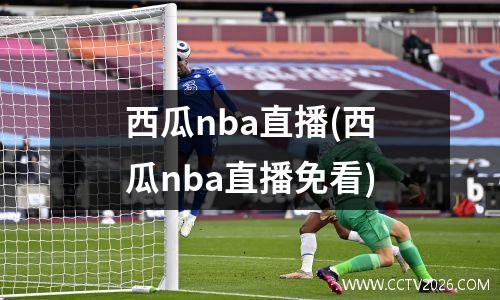 西瓜nba直播(西瓜nba直播免看)