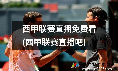 西甲联赛直播免费看(西甲联赛直播吧)