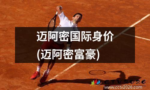 迈阿密国际身价(迈阿密富豪)
