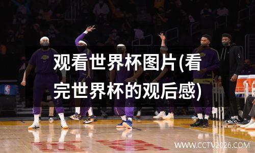 观看世界杯图片(看完世界杯的观后感)