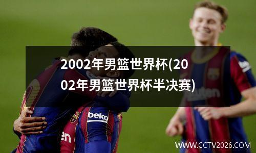 2002年男篮世界杯(2002年男篮世界杯半决赛)
