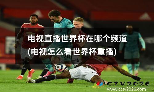 电视直播世界杯在哪个频道(电视怎么看世界杯重播)