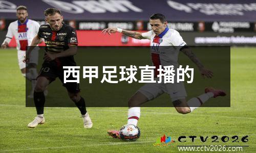 西甲足球直播的