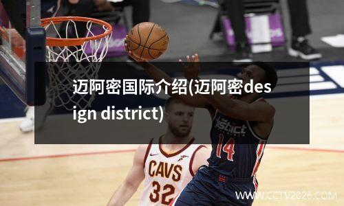 迈阿密国际介绍(迈阿密design district)