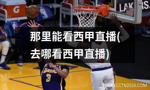 那里能看西甲直播(去哪看西甲直播)