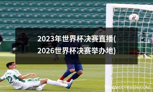 2023年世界杯决赛直播(2026世界杯决赛举办地)