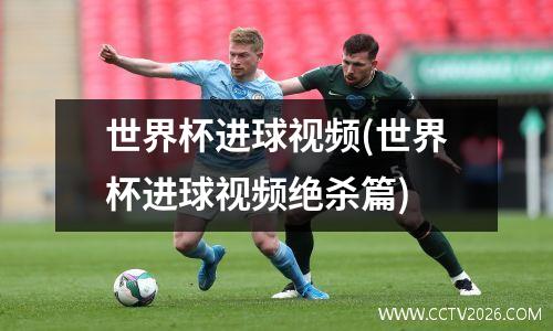 世界杯进球视频(世界杯进球视频绝杀篇)