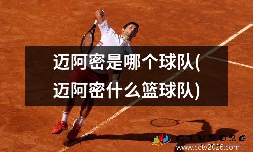 迈阿密是哪个球队(迈阿密什么篮球队)