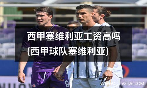 西甲塞维利亚工资高吗(西甲球队塞维利亚)