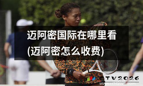 迈阿密国际在哪里看(迈阿密怎么收费)