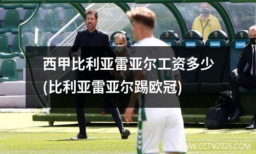 西甲比利亚雷亚尔工资多少(比利亚雷亚尔踢欧冠)