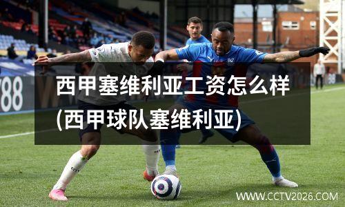 西甲塞维利亚工资怎么样(西甲球队塞维利亚)