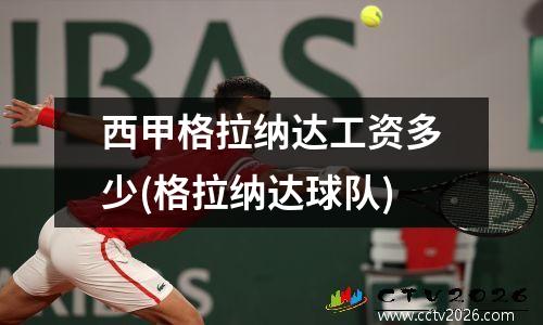 西甲格拉纳达工资多少(格拉纳达球队)