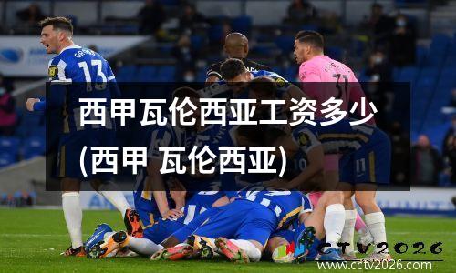 西甲瓦伦西亚工资多少(西甲 瓦伦西亚)