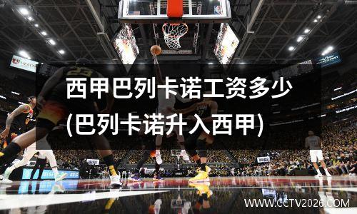 西甲巴列卡诺工资多少(巴列卡诺升入西甲)