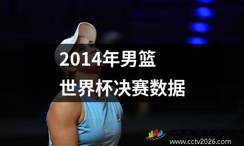 2014年男篮世界杯决赛数据