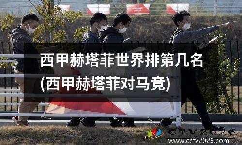 西甲赫塔菲世界排第几名(西甲赫塔菲对马竞)