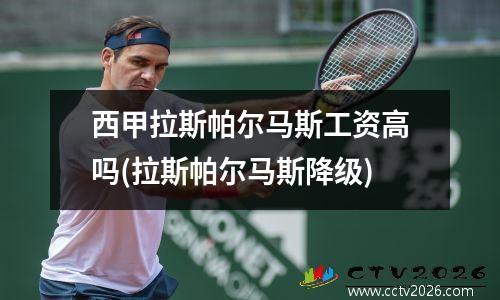 西甲拉斯帕尔马斯工资高吗(拉斯帕尔马斯降级)