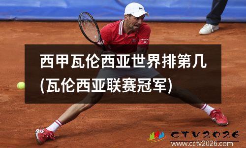 西甲瓦伦西亚世界排第几(瓦伦西亚联赛冠军)
