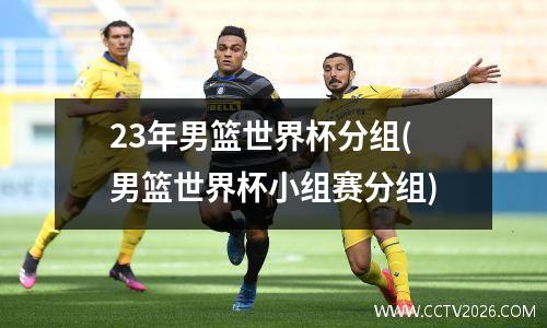 23年男篮世界杯分组(男篮世界杯小组赛分组)