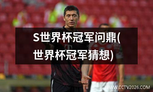 S世界杯冠军问鼎(世界杯冠军猜想)