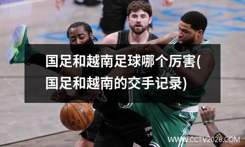 国足和越南足球哪个厉害(国足和越南的交手记录)
