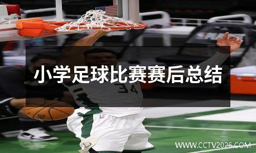 小学足球比赛赛后总结